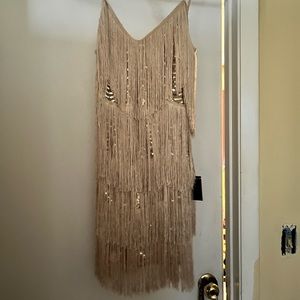 Get in the Groove Champagne Sequin Fringe Bodycon Dress